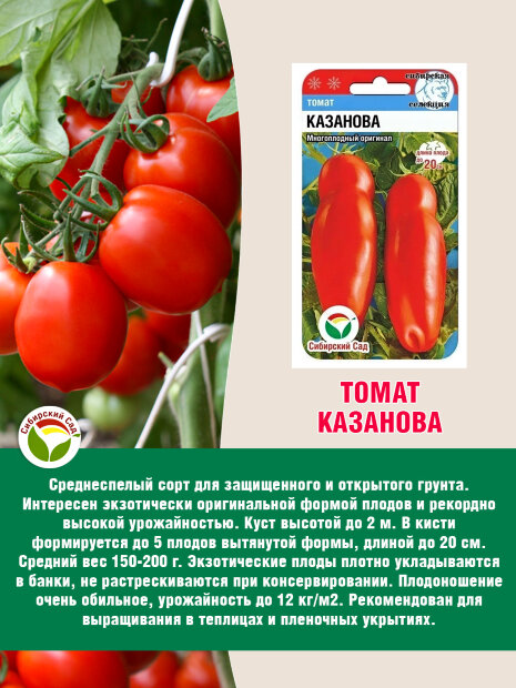 Томат Казанова семена 