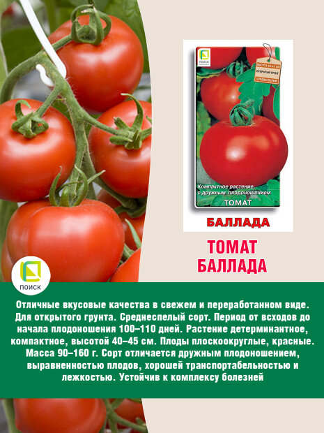Томат Баллада семена 