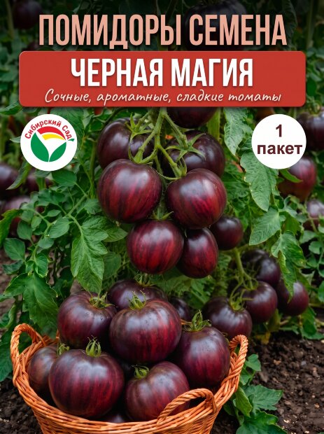 Томат Черная Магия семена 