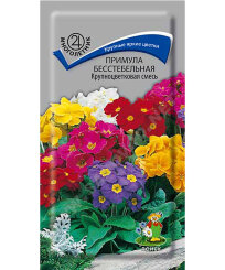 Примула Крупноцветковая смесь (бесстебельная)