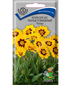 Кореопсис Потеха (ланцетовидный)