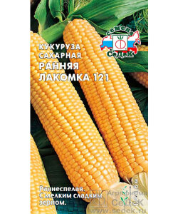 Кукуруза Раняя лакомка 121 Кукуруза Раняя лакомка 121