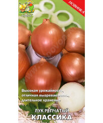 Лук репчатый Классика Лук репчатый Классика