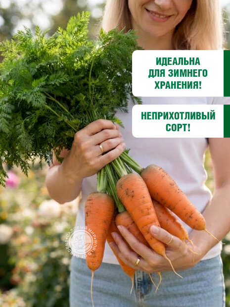 Морковь Шантенэ 2461 семена 