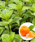 Мята Мандариновая