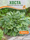 Хоста Франси (гибридная)