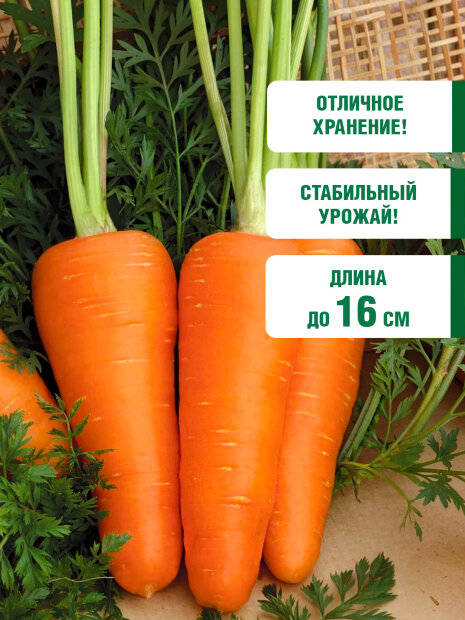 Морковь Сибирская Медуница семена 