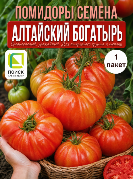 Томат Алтайский Богатырь семена 