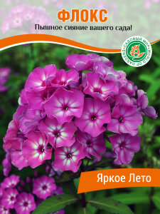 Флокс Яркое Лето