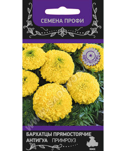 Бархатцы прямостоячие Антигуа Примроуз Бархатцы прямостоячие Антигуа Примроуз