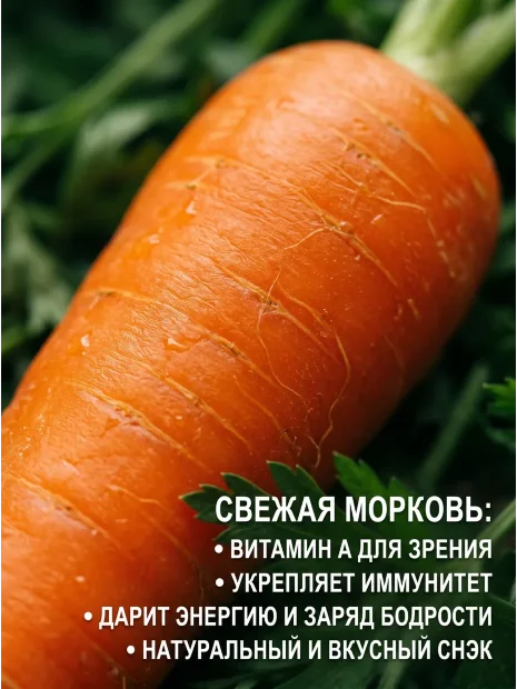 Морковь Витаминная 6 семена 