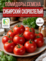 Томат Сибирский скороспелый