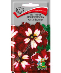 Петуния грандифлора Кан Кан Бургунди
